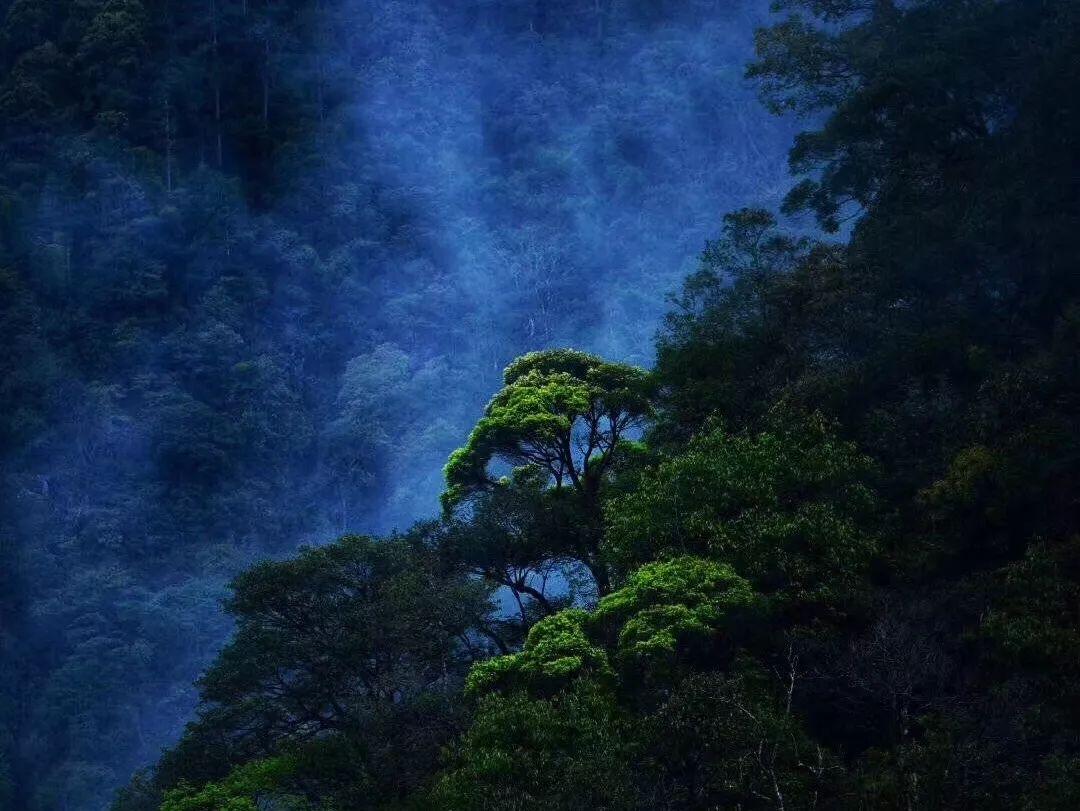 涉人格权纠纷 刘诗诗起诉医美公司侵权