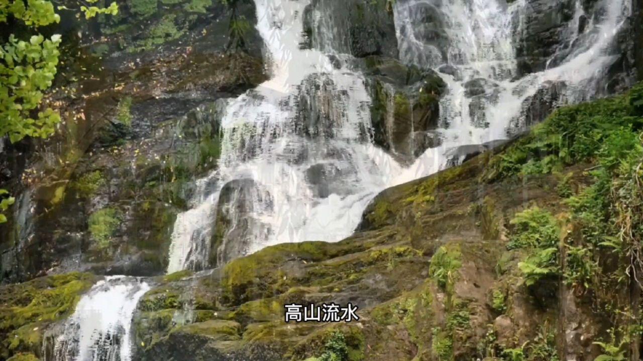 危险的亡命之徒